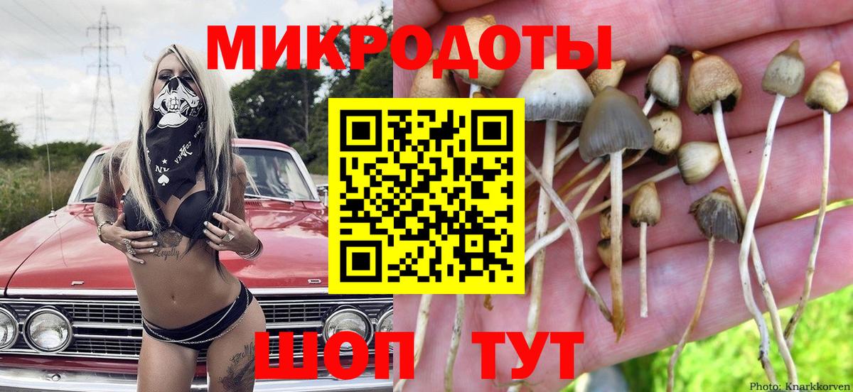Галлюциногенные грибы мицелий  Псилоцибиновые грибы Psilocybine cubensis  Санкт-Петербург  Вход с VPN 