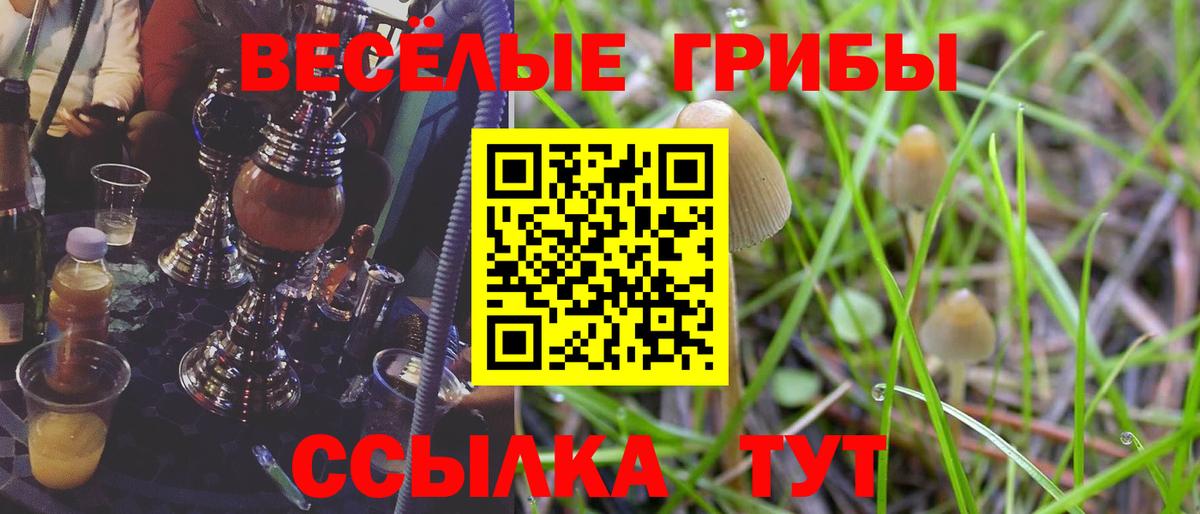 Лсд 25  МДМА  Экстази  Санкт-Петербург  Cocaine  Купить  Бошки Шишки  Меф МЯУ МЯУ  Вход с VPN  ГАШИШ  Меф  